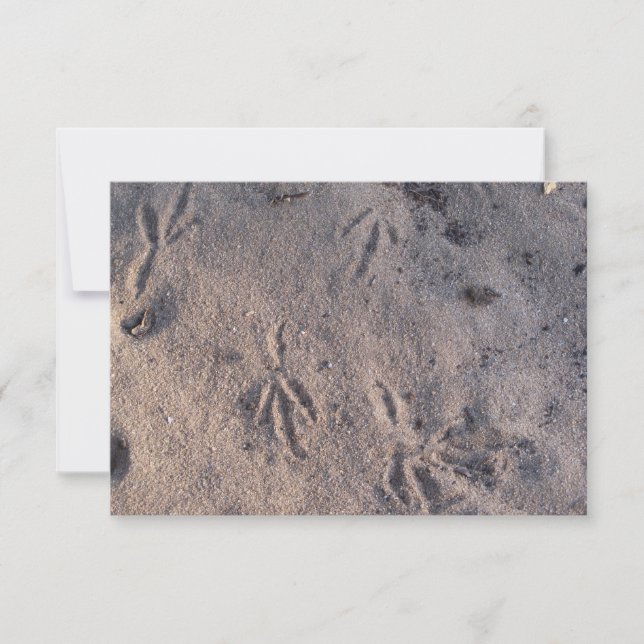 Agradecimento A guinada de areia segue na areia, num cartão (Frente)