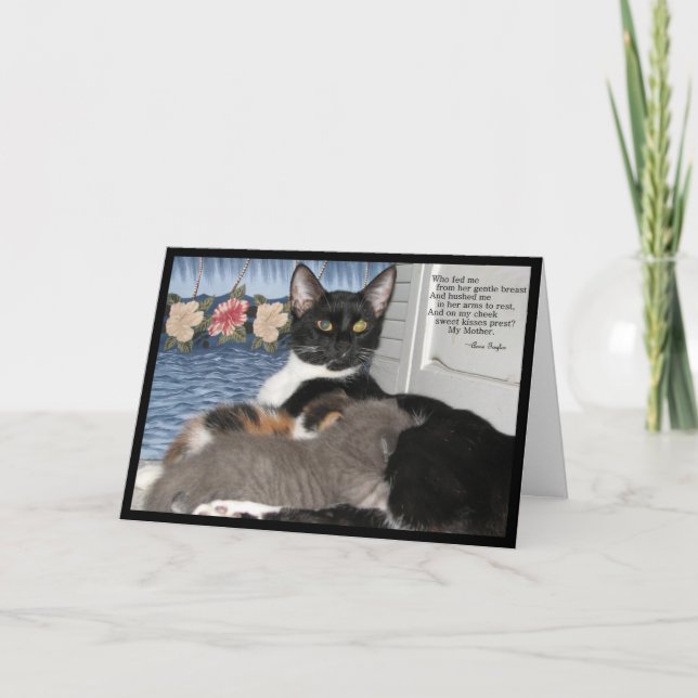 Agradecimento Amor da mamãe - Cartão de Dia de as mães de gato (Frente)