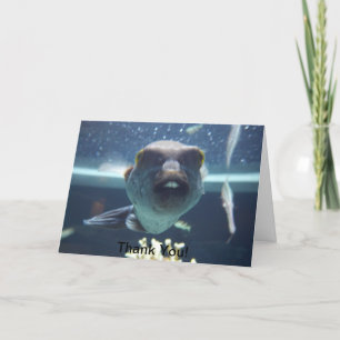 Agradecimento Aquele Cartão De Peixe De Bucktooth