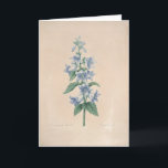 Agradecimento Campanula pelo Cartão de condolências botânico de<br><div class="desc">" Pierre-Joseph Redouté (10 de julho de 1759 em Santo-Hubert, em Bélgica - 19 de junho de 1840 em Paris), era um pintor e um botânico belgas, conhecidos para seus watercolours dos rosas, dos lírios e das outras flores em Malmaison. Foi alcunhado "Raphael das flores". Era um artista oficial da...</div>
