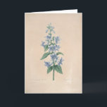 Agradecimento Campanula pelo Cartão de condolências botânico de<br><div class="desc">" Pierre-Joseph Redouté (10 de julho de 1759 em Santo-Hubert, em Bélgica - 19 de junho de 1840 em Paris), era um pintor e um botânico belgas, conhecidos para seus watercolours dos rosas, dos lírios e das outras flores em Malmaison. Foi alcunhado "Raphael das flores". Era um artista oficial da...</div>
