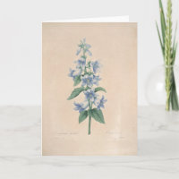 Campanula pelo Cartão de condolências botânico de