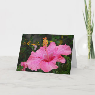 Agradecimento Cartão cor-de-rosa do hibiscus de Havaí