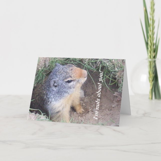Agradecimento Cartão de Amor Groundhog (Frente)