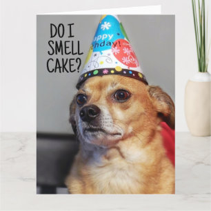 AGRADECIMENTO CARTÃO DE ANIVERSÁRIO CHIHUAHUA DOG FUNNY