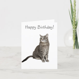 Agradecimento Cartão de Aniversário de Gato Abissino