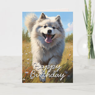 Agradecimento Cartão de Aniversário de Keeshond Personalizado