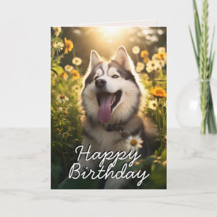 Agradecimento Cartão de Aniversário de Malamute do Alasca Person