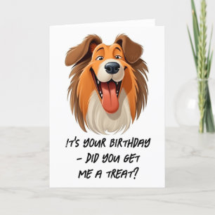 Agradecimento Cartão de Aniversário do Cachorro Collie