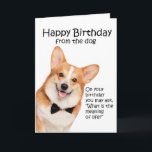 Agradecimento Cartão de Aniversário do Funny Corgi<br><div class="desc">Este cartão de aniversário engraçado do Pembroke Welsh Corgi não é só para amantes do Corgi.</div>