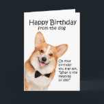 Agradecimento Cartão de Aniversário do Funny Corgi<br><div class="desc">Este cartão de aniversário engraçado do Pembroke Welsh Corgi não é só para amantes do Corgi.</div>