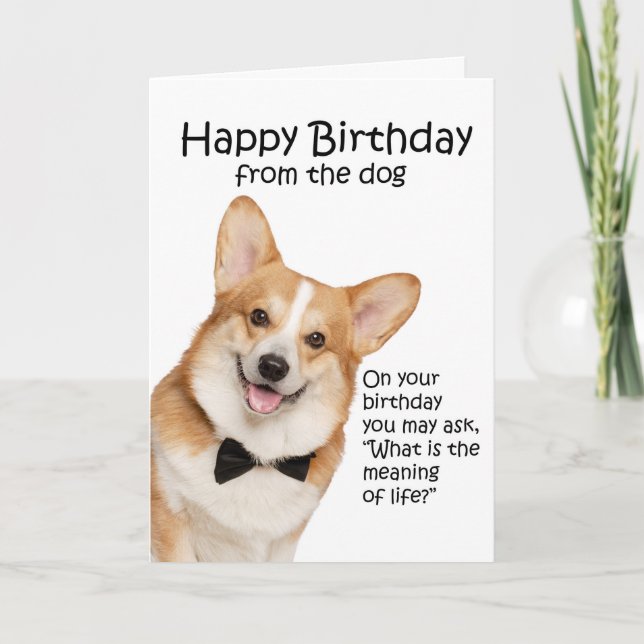 Agradecimento Cartão de Aniversário do Funny Corgi (Frente)