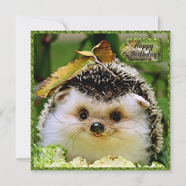 Agradecimento Cartão de Aniversário do Hedgehog (Frente)