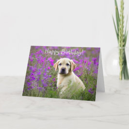 Agradecimento Cartão de Aniversário do Puppy Puppy do Laboratóri