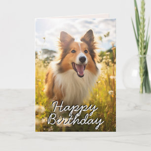 Agradecimento Cartão de Aniversário do Shetland Sheepdog Persona
