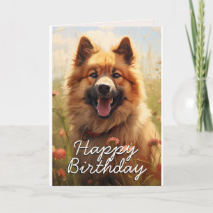 Agradecimento Cartão de Aniversário Eurasier Personalizado