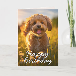 Agradecimento Cartão de Aniversário Feliz Cavoodle/Cavapoo Perso