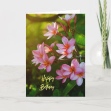 Cartão de Aniversário Feliz da Plumeria Rosa