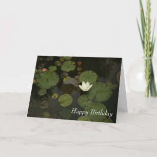 Agradecimento Cartão de Aniversário Feliz de Lily Pond