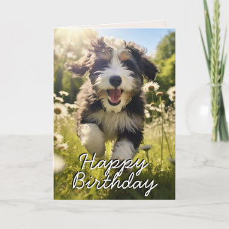Agradecimento Cartão de Aniversário Feliz do Bernedoodle Persona