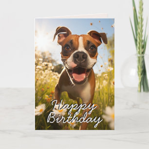 Agradecimento Cartão de Aniversário Feliz do Boxer Personalizado
