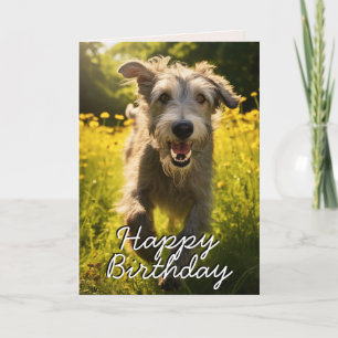 Agradecimento Cartão de Aniversário Feliz do Wolfhound Irlandês