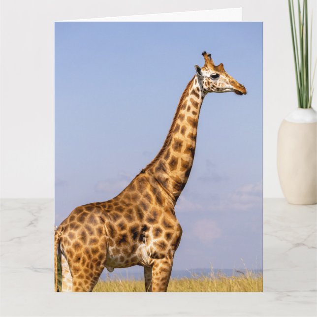 AGRADECIMENTO CARTÃO DE ANIVERSÁRIO GIRAFFE (Frente)