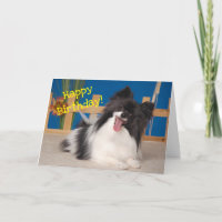 Cartão de Aniversário para Cachorros Bons, Papillo