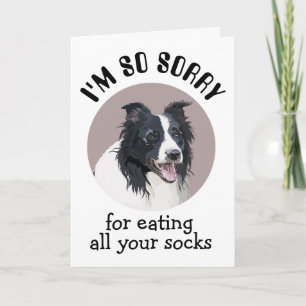 Agradecimento Cartão De Aniversário Personalizado Da Sua Collie 