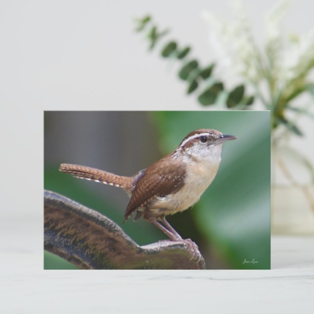 Agradecimento Cartão de anotação natural para aves (Em pé/Frente)