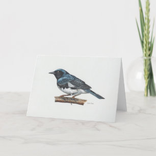 Agradecimento Cartão de Arte Azul-Warbler de Grelha Preta