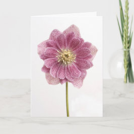 Agradecimento Cartão de Boas-Vindas Flor de Lírio Roxa