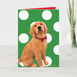 Agradecimento Cartão de Cachorro de Natal de ouro