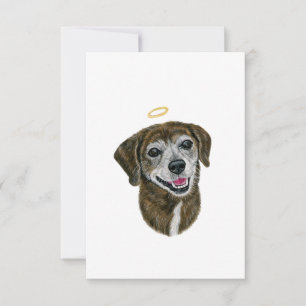 Agradecimento Cartão de condolências Rainbow Dog