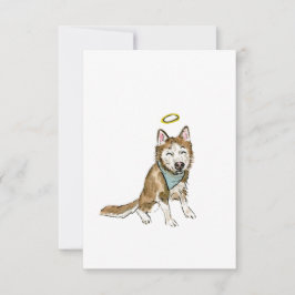 Agradecimento Cartão de condolências Rainbow Dog