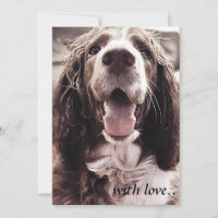 Cartão de cumprimentos do spaniel de Springer