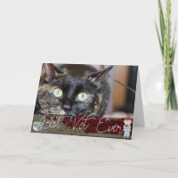 Cartão de Foto de Animal de Estimação Personalizad