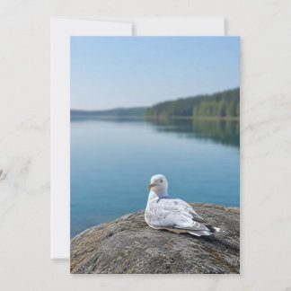 Agradecimento Cartão de Fotografia de Gaivota, Presente de Natur