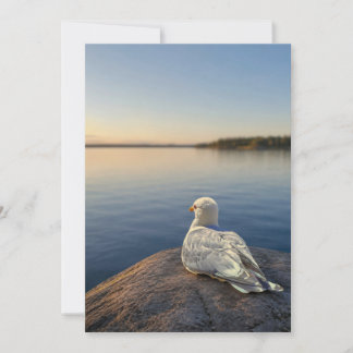 Agradecimento Cartão de Fotografia de Gaivota, Presente de Natur