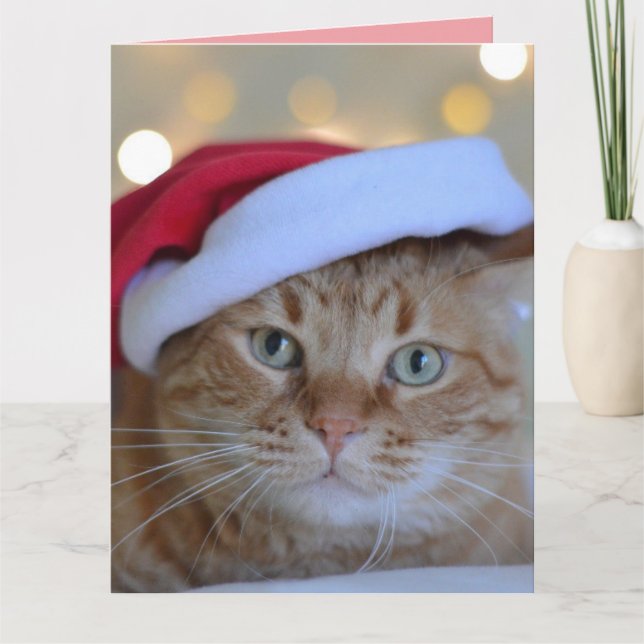 AGRADECIMENTO CARTÃO DE GREETING DE GATO GINGER DE NATAL (Frente)