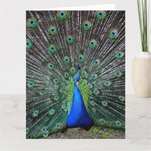 AGRADECIMENTO CARTÃO DE MORTE DE ANIVERSÁRIO DE PEACOCK ART BIG