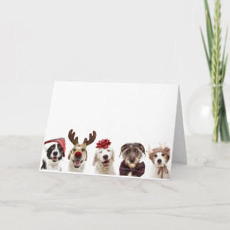 AGRADECIMENTO CARTÃO DE NATAL COM CÃES CELEBRANDO O NATAL