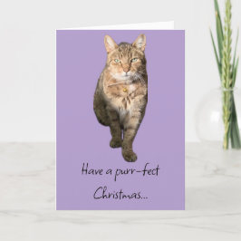 Agradecimento Cartão de Natal com um gato encantador