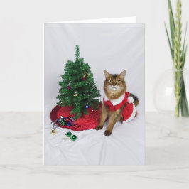 Agradecimento Cartão de Natal de Decoração de Papais noeis de Ga