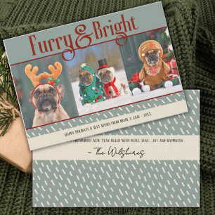 Agradecimento Cartão de Natal de Furry & Bright Dog