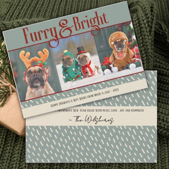 Agradecimento Cartão de Natal de Furry & Bright Dog (Criador carregado)