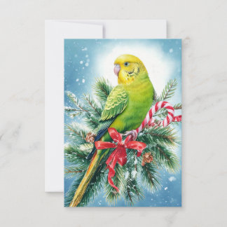 Agradecimento Cartão de Natal de Parakeet e Candy Cane