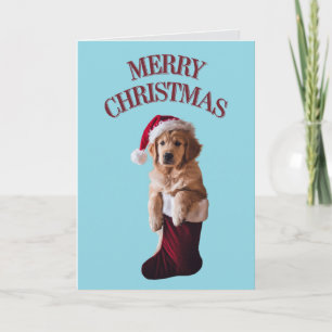 Agradecimento Cartão de Natal do adorável Golden Retriever