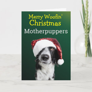 Agradecimento Cartão de Natal Personalizado da Collie de Borda