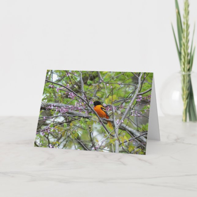 Agradecimento Cartão de Saudação Baltimore Oriole (Frente)